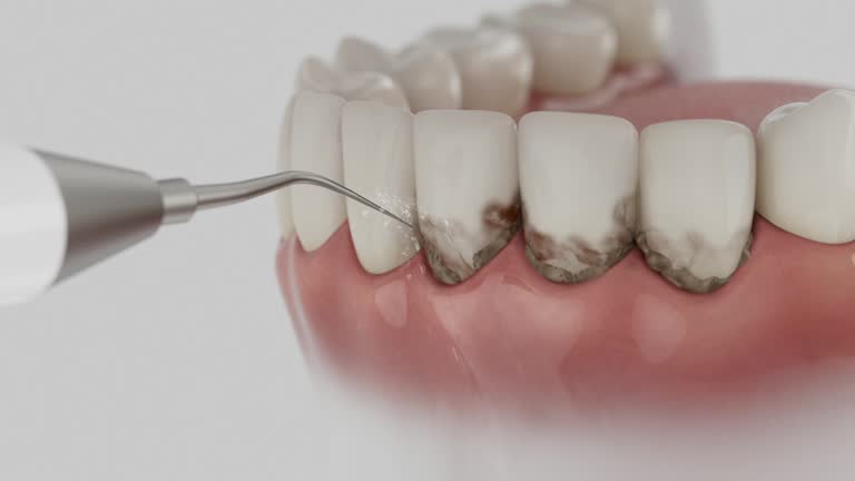 Reliable Dental contractor in McCormick, SC by Dentist Open Now
